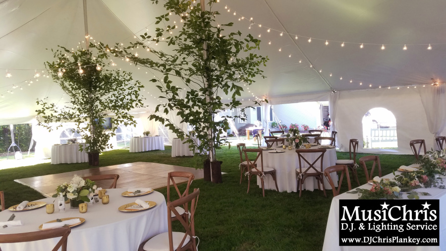All-Inclusive Light Rental Package for a 40' x 60' Tent - GLOBE LIGHTS